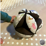 Palla di Prensione Fattoria