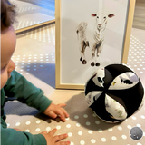 Palla di Prensione Fattoria